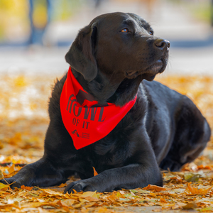 Fundraising Page: Jana Dean